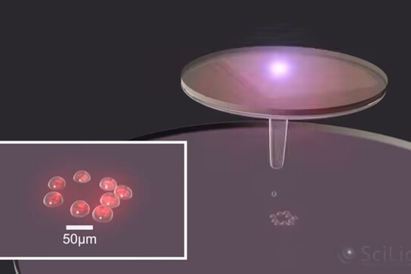 化工巨头巴斯夫携手Poietis 开展4D生物打印皮肤项目