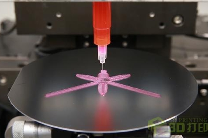 遇水即变 哈佛大学研究出新型4D打印材料