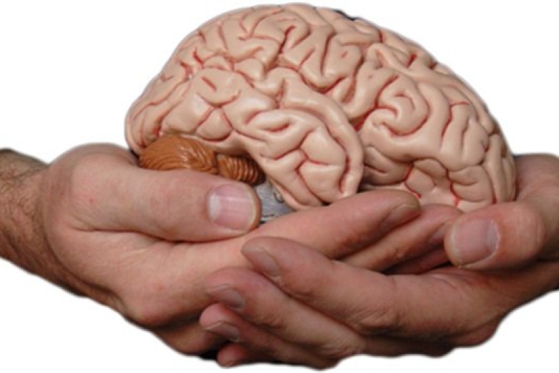 澳洲科学家3D打印脑组织获得进展