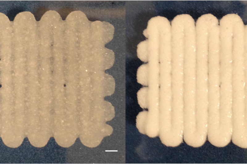 3D打印“面团”可帮助加速骨折康复