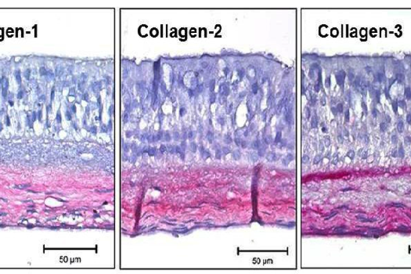 生物3D打印受市场青睐 Aspect获得种子投资