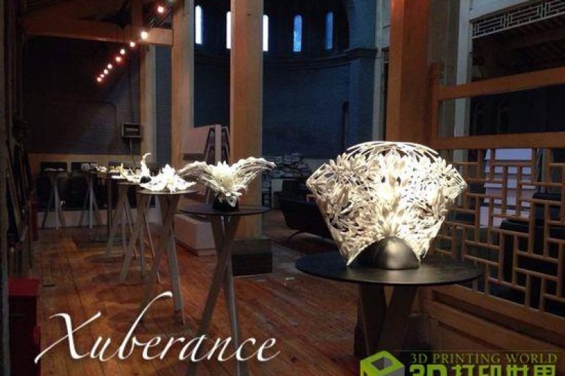 海归派设计师如何把3D打印在国内做到极致盛放