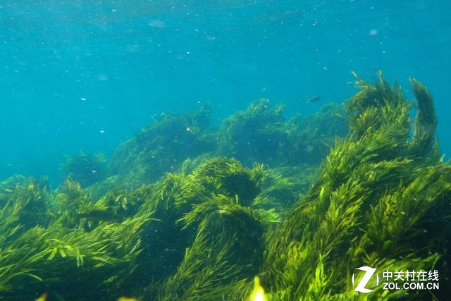 巧妇不再难为无米之炊 3D打印材料大观 