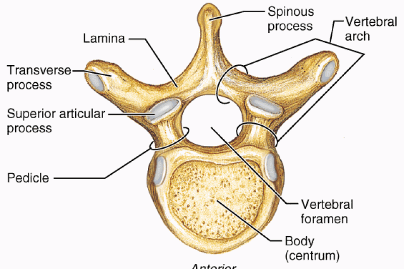 OPM聚合材料3D打印椎间植入物获FDA准入
