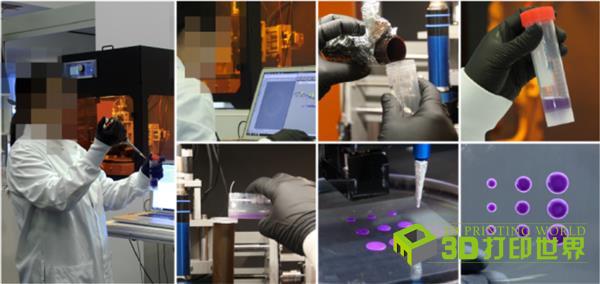 0603-3DPW-生物应用.jpg