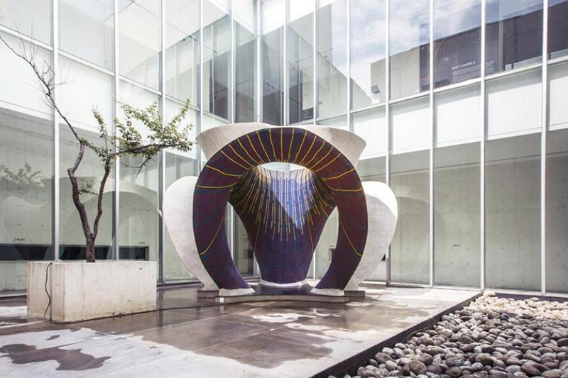 墨西哥城惊现3D编织“奇葩”